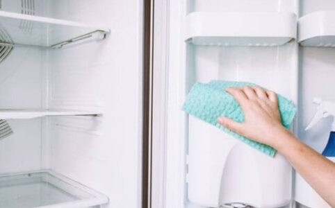 how to prevent mold in refrigerator