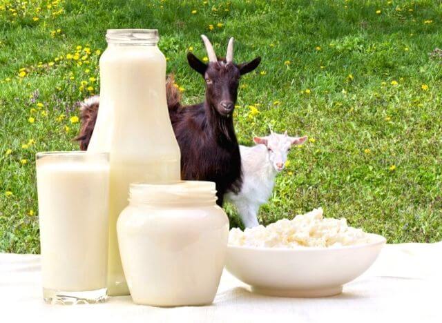 Goat milk