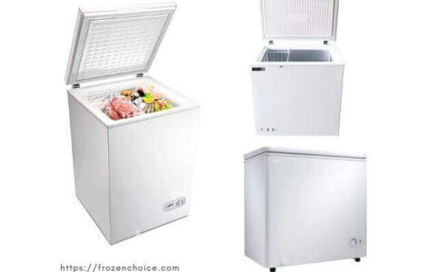 Best Small Freezers for Garage