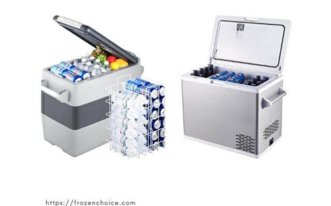 Best Portable Fridges and Coolers for Camping
