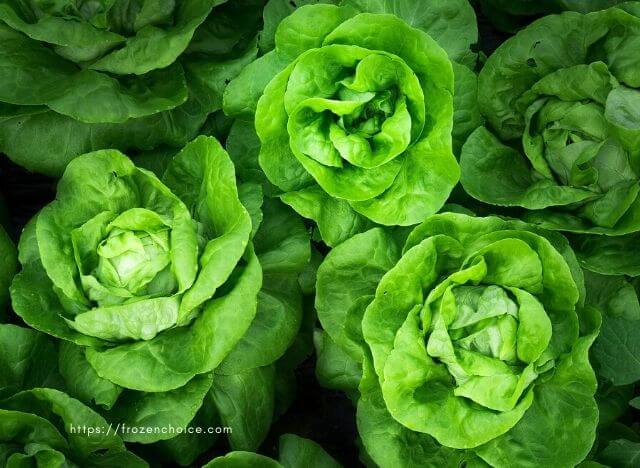 How to freeze lettuce