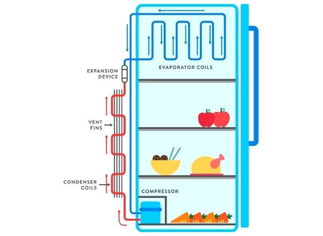 Five components make the power of fridges in preserving food