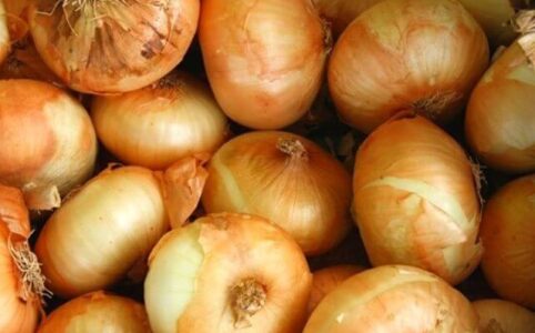 how to freeze fresh vidalia onions