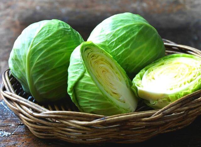 Cabbage is a convenient and nutritious food