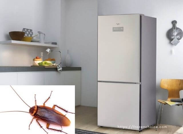 Can roaches live inside a refrigerator