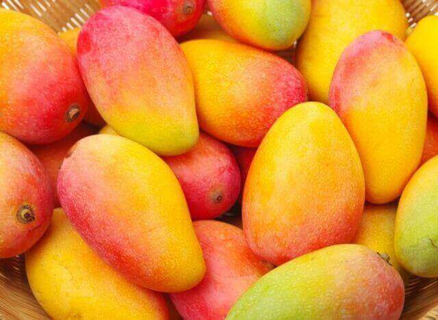 Mangoes bring many health benefits