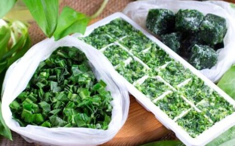 How to freeze herbs in ice cube trays