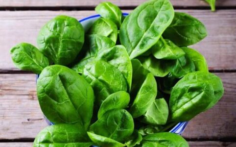 Does freezing spinach lose nutrients