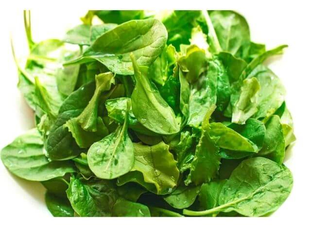 Savoy Spinach