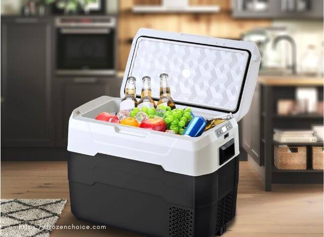 best portable fridge for car