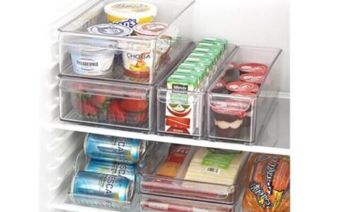 how to organize a small refrigerator
